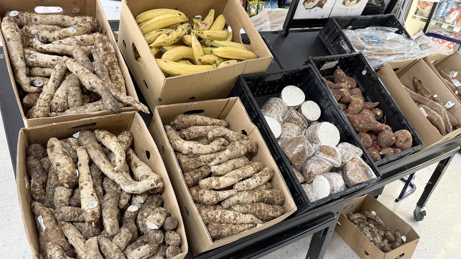 Crates of malanga, yuca, boniato and plantains on the produce table at Las Americas Latin Market.