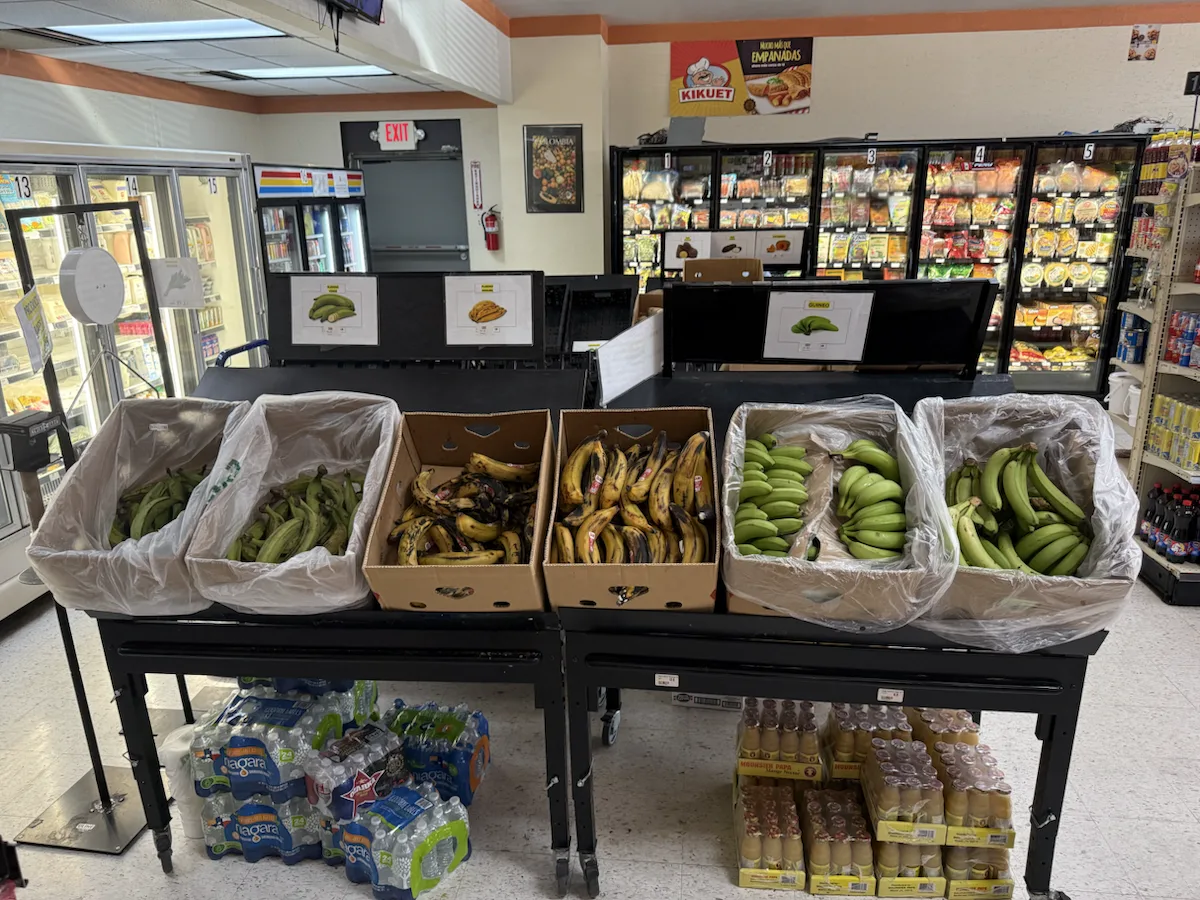 Fresh plantains, yuca and tropical roots