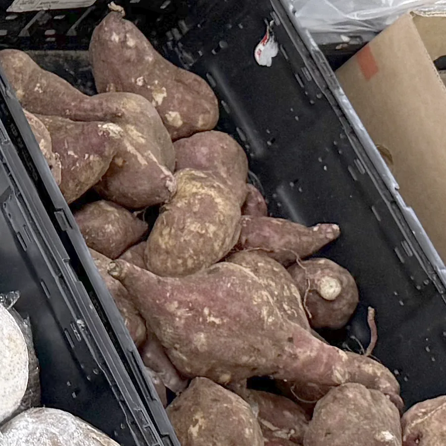 Boniato — fresh produce, photographed at the market