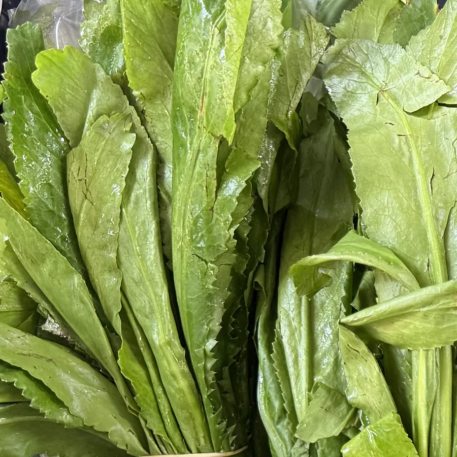 Culantro / recao — fresh produce, photographed at the market