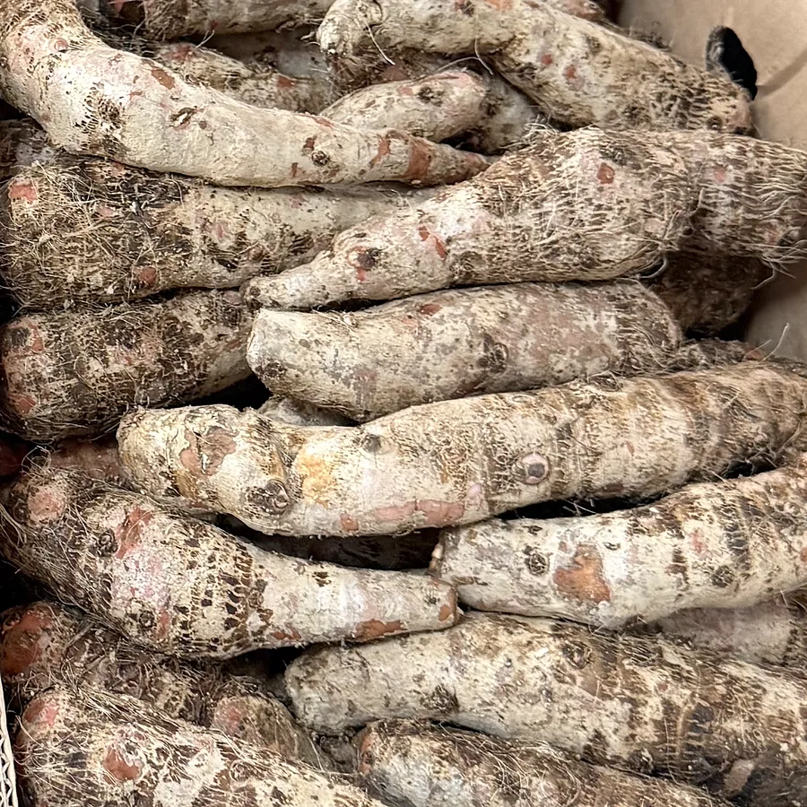 Malanga lila — fresh produce, photographed at the market