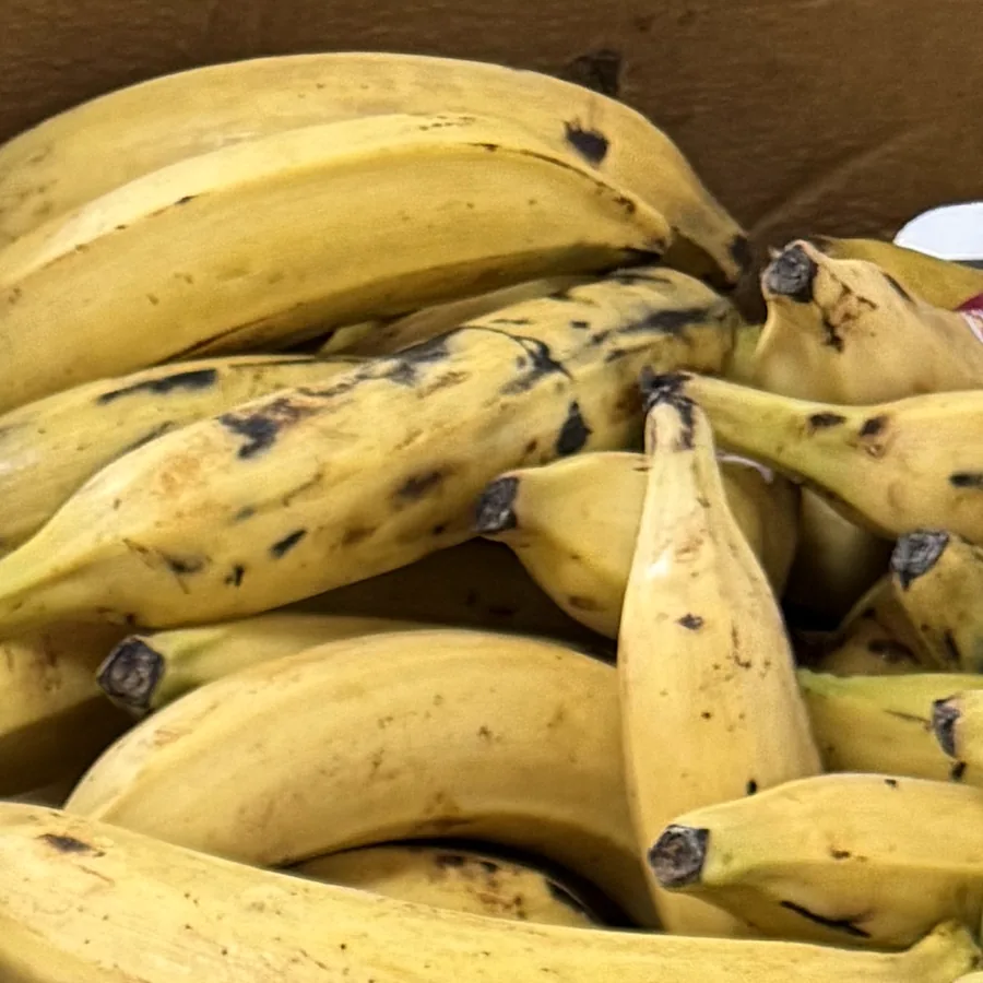 Ripe plantains — fresh produce, photographed at the market